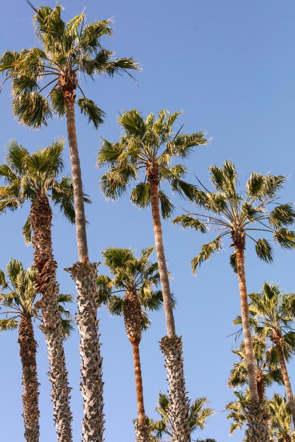 Found Santa Monica Powered By Sonder Hotel Los Angeles Kültér fotó